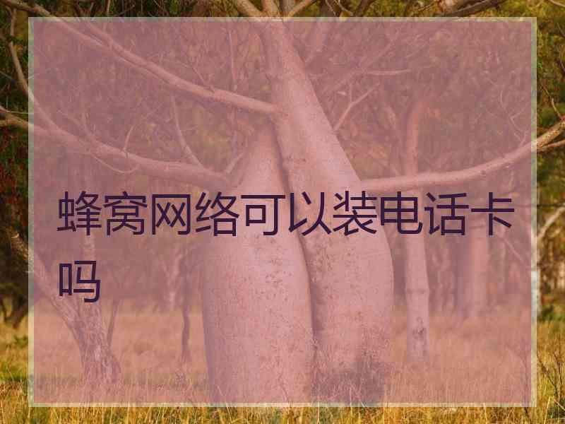 蜂窝网络可以装电话卡吗