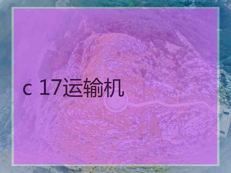c 17运输机