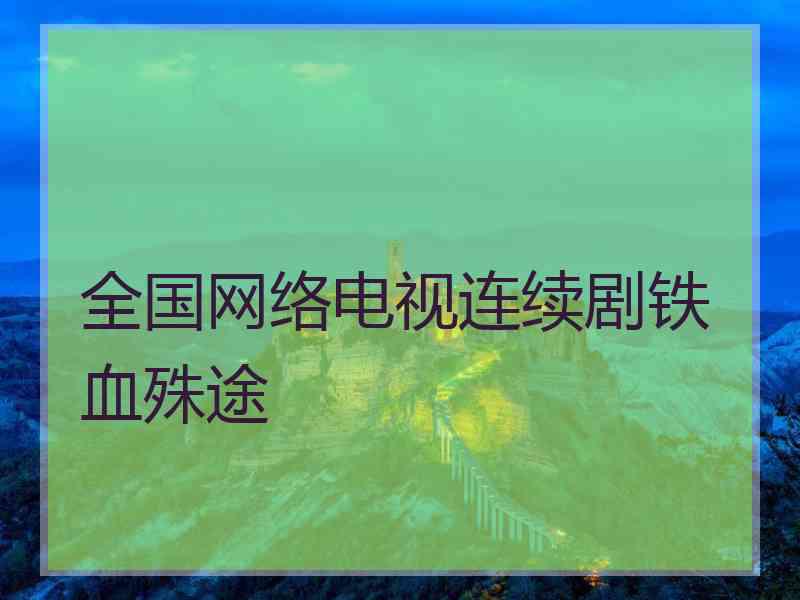 全国网络电视连续剧铁血殊途