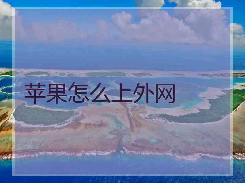 苹果怎么上外网