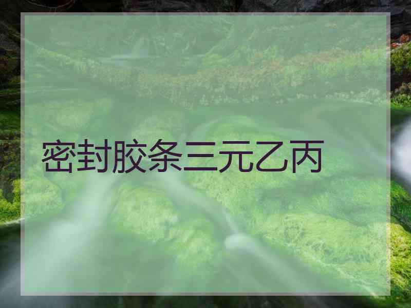 密封胶条三元乙丙