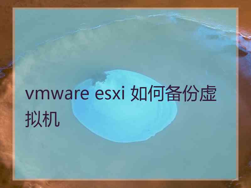 vmware esxi 如何备份虚拟机