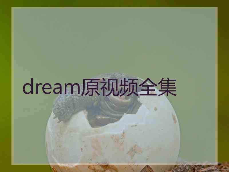 dream原视频全集