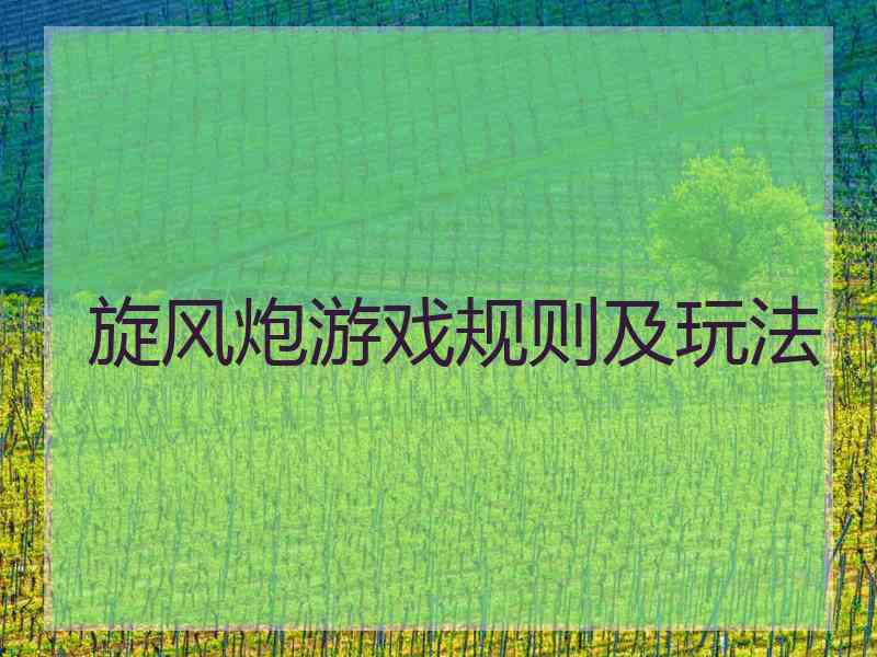 旋风炮游戏规则及玩法