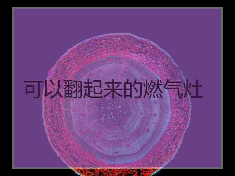 可以翻起来的燃气灶