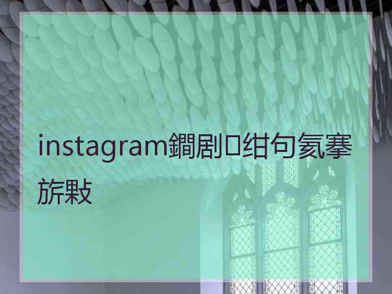 instagram鐧剧绀句氦搴旂敤