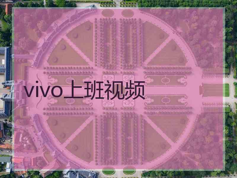 vivo上班视频