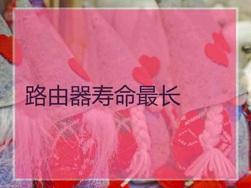 路由器寿命最长