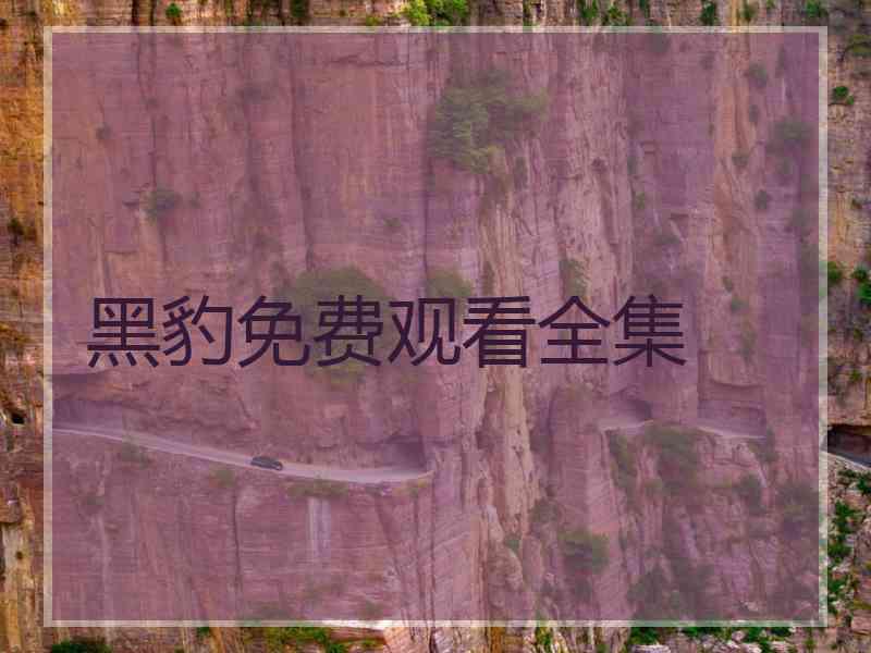 黑豹免费观看全集