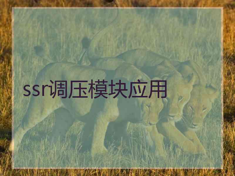 ssr调压模块应用