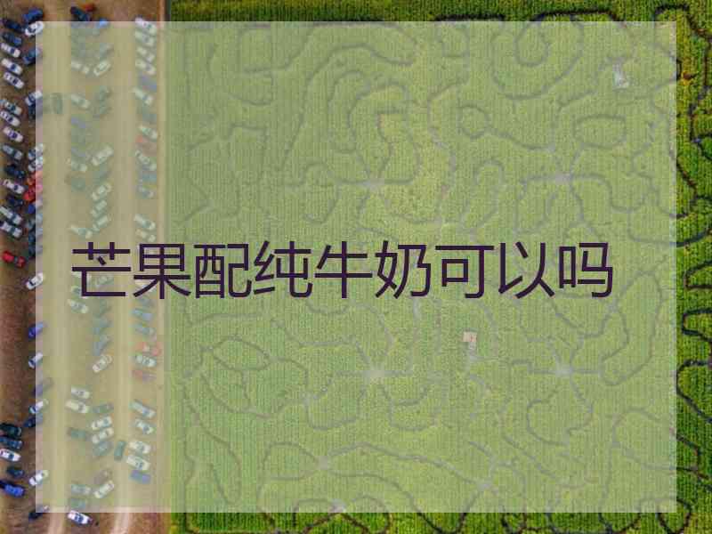 芒果配纯牛奶可以吗