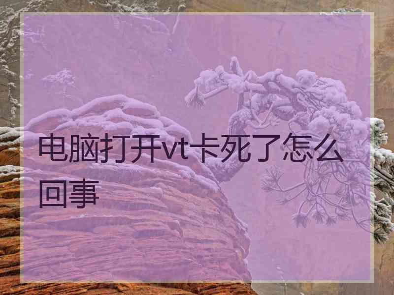 电脑打开vt卡死了怎么回事