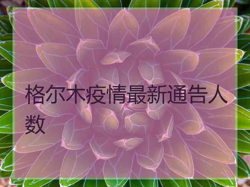 格尔木疫情最新通告人数