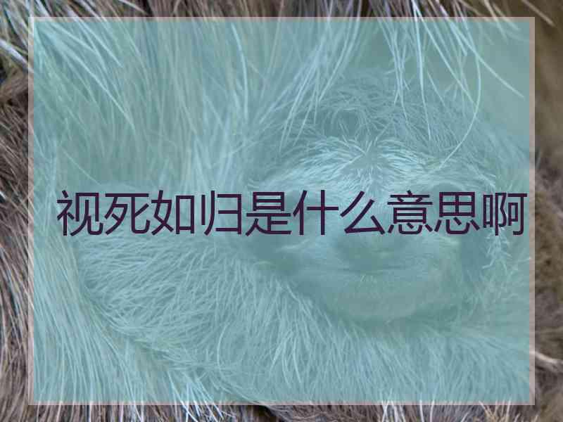 视死如归是什么意思啊