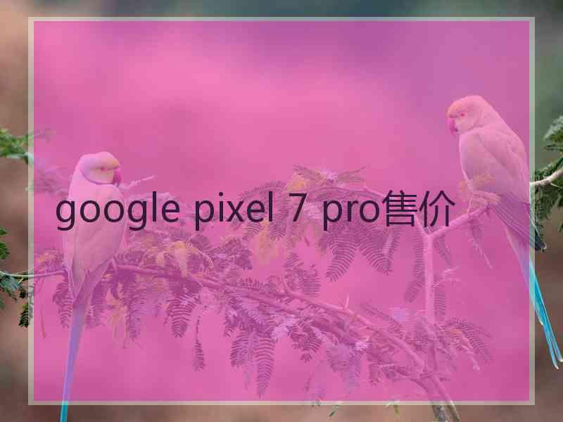 google pixel 7 pro售价