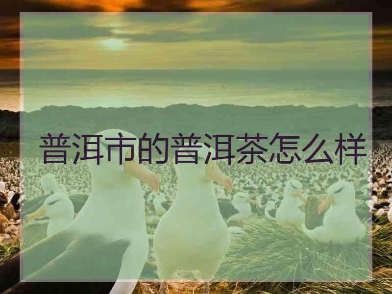 普洱市的普洱茶怎么样