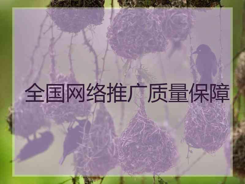 全国网络推广质量保障