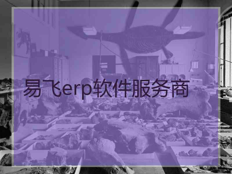 易飞erp软件服务商