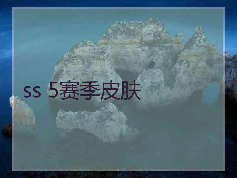 ss 5赛季皮肤