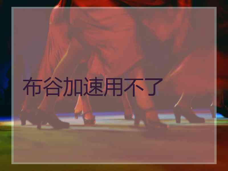 布谷加速用不了