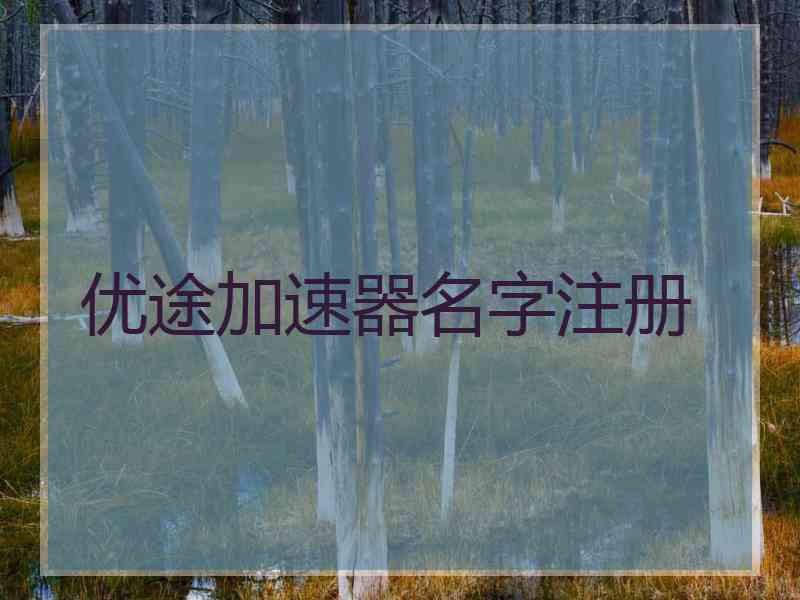 优途加速器名字注册