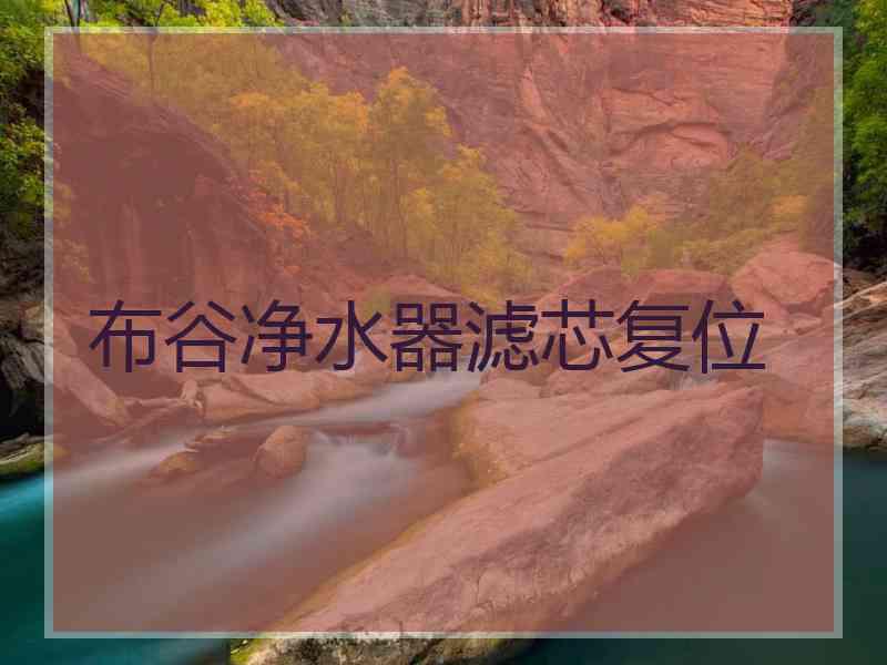 布谷净水器滤芯复位