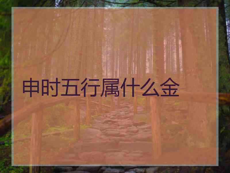 申时五行属什么金