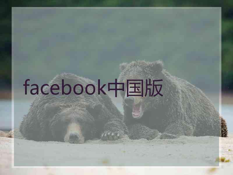 facebook中国版