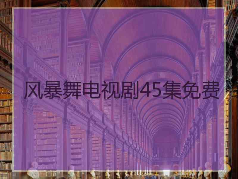 风暴舞电视剧45集免费