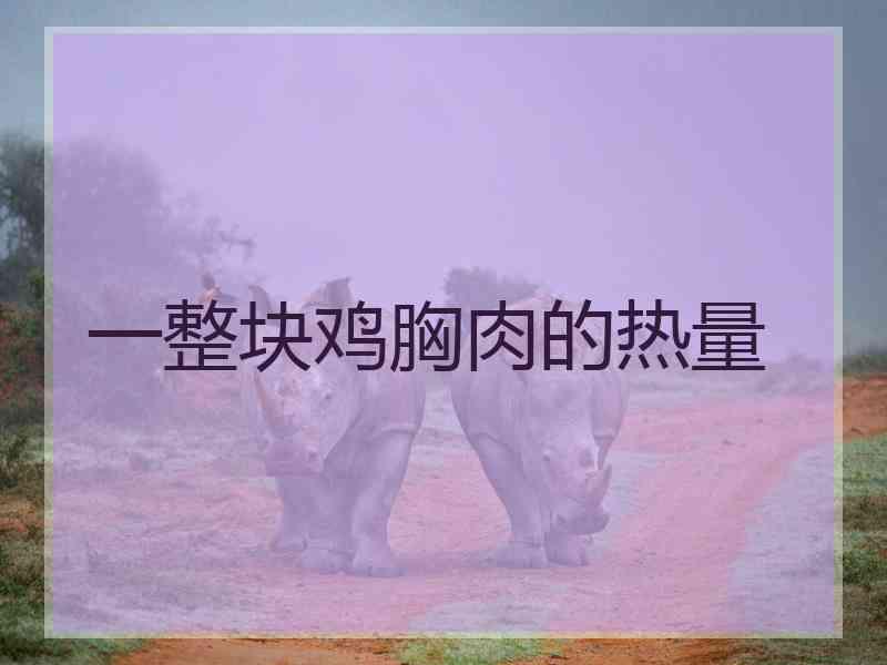 一整块鸡胸肉的热量