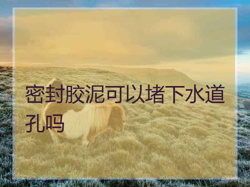 密封胶泥可以堵下水道孔吗