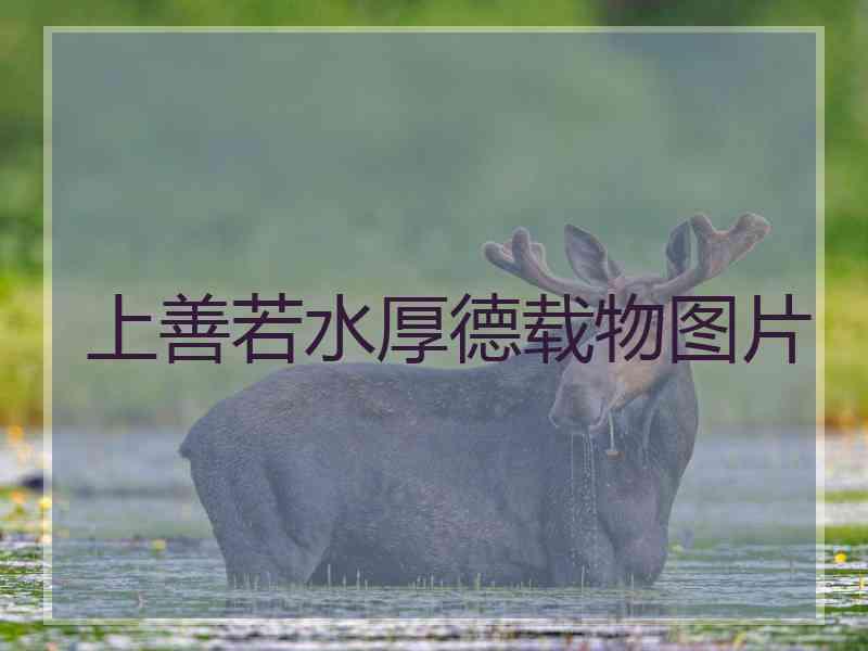 上善若水厚德载物图片
