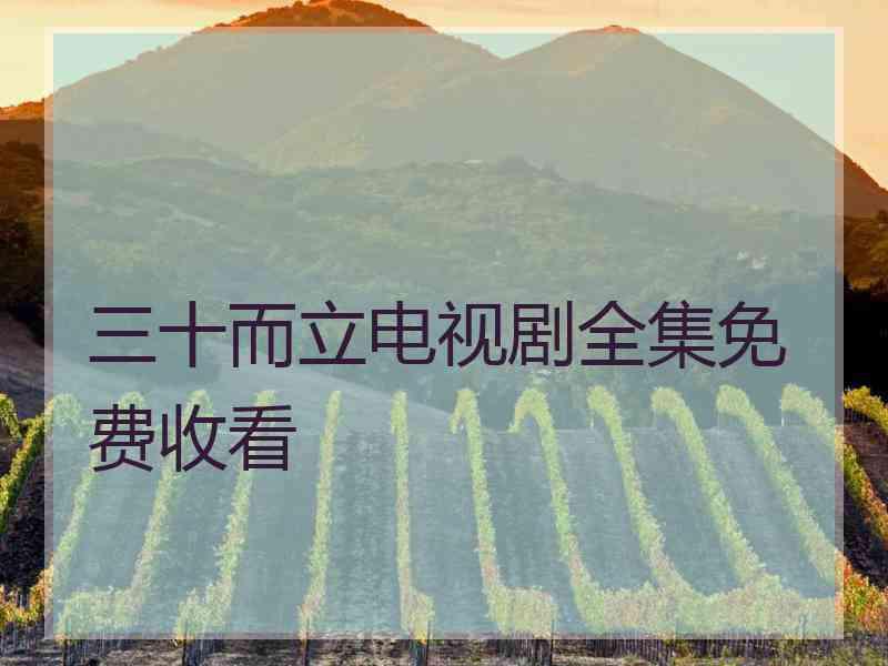 三十而立电视剧全集免费收看