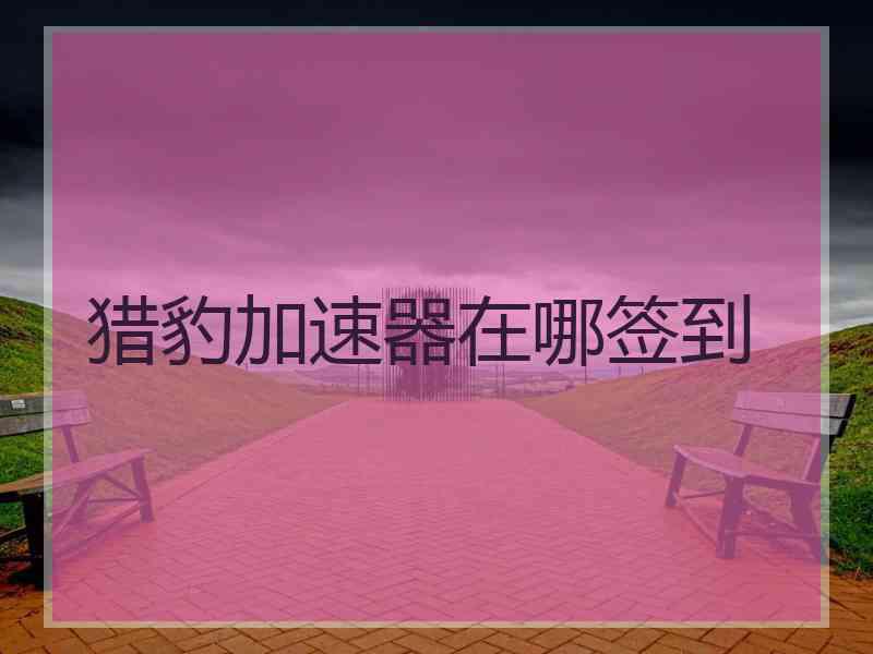 猎豹加速器在哪签到