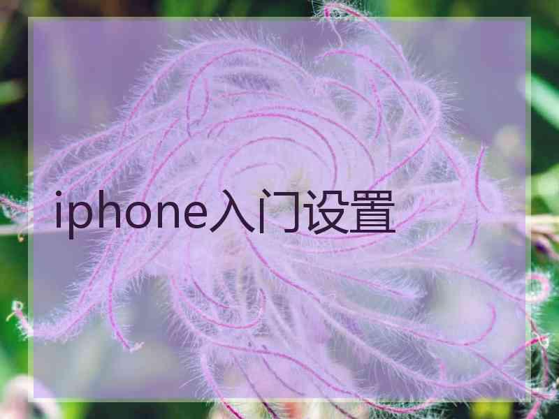 iphone入门设置