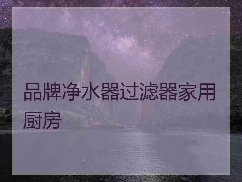 品牌净水器过滤器家用厨房