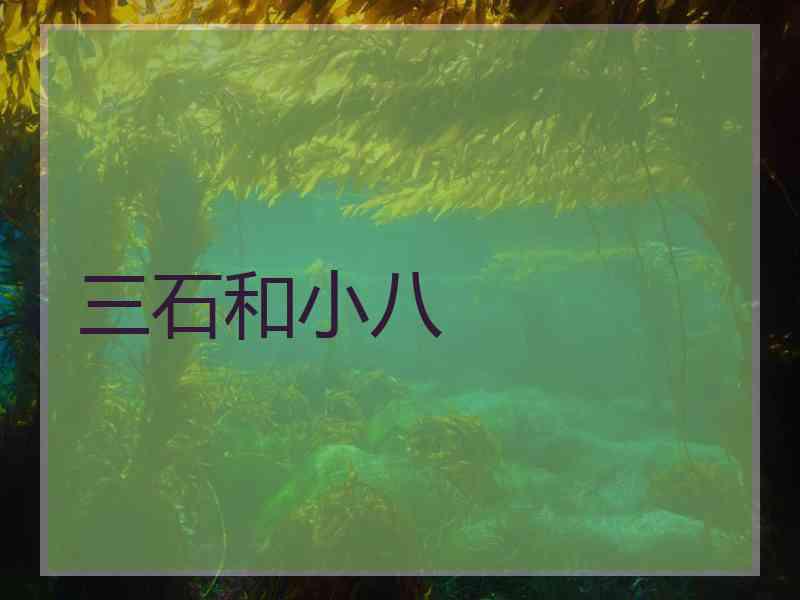 三石和小八