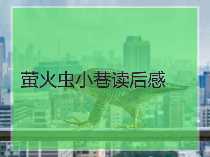萤火虫小巷读后感