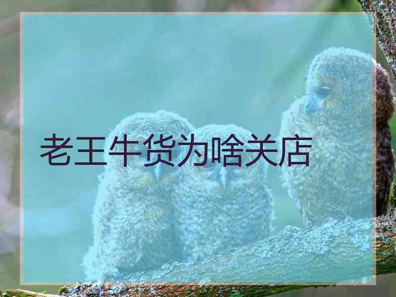老王牛货为啥关店