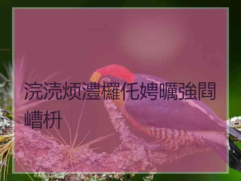 浣涜烦澧欏仛娉曞強閰嶆枡