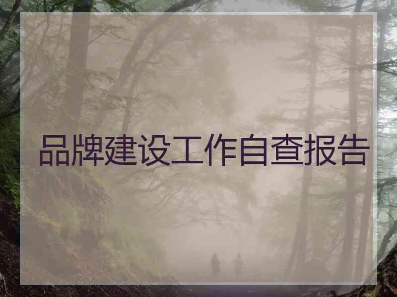 品牌建设工作自查报告