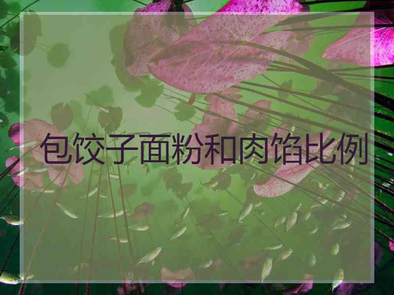 包饺子面粉和肉馅比例