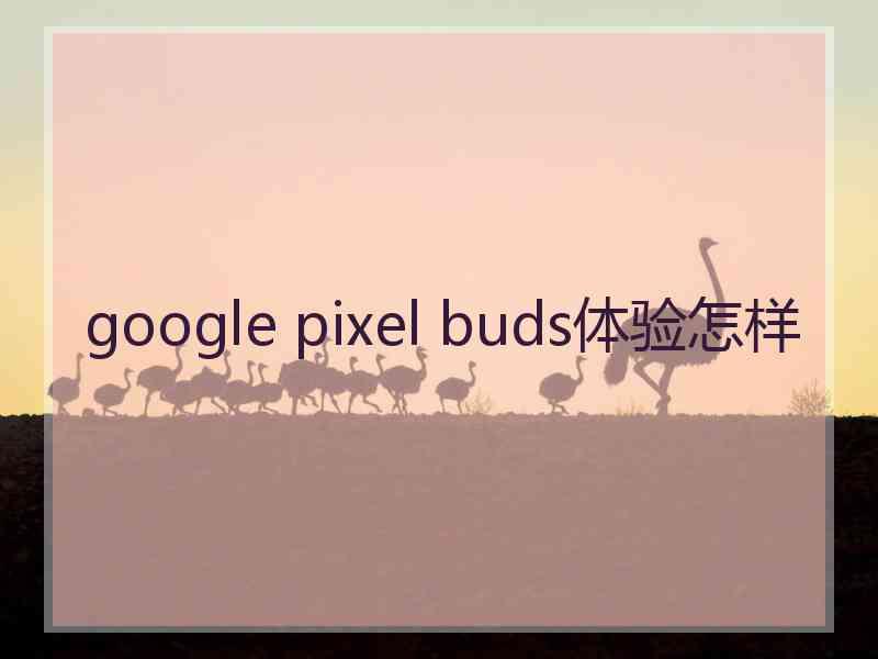 google pixel buds体验怎样