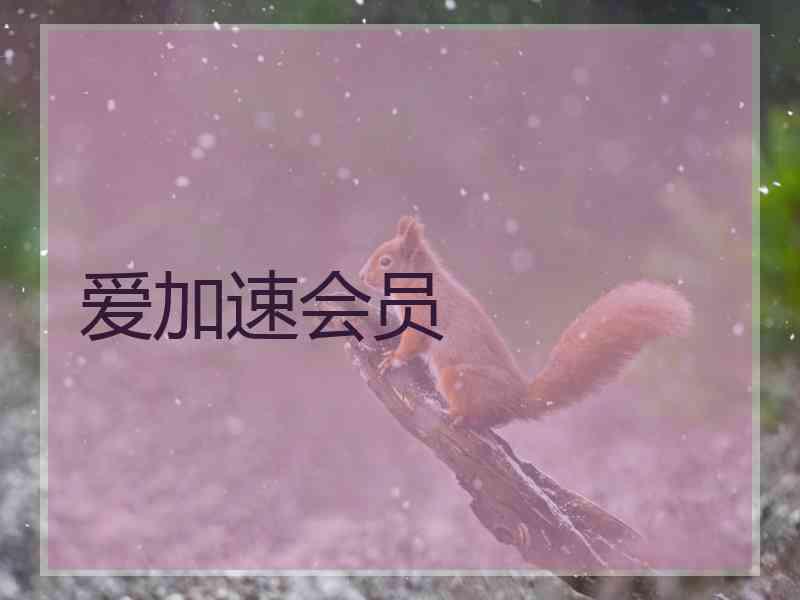 爱加速会员