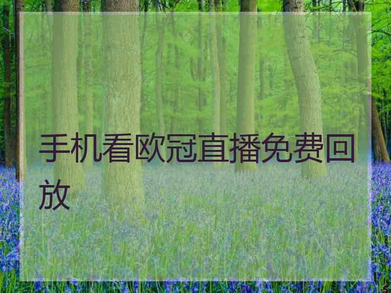 手机看欧冠直播免费回放