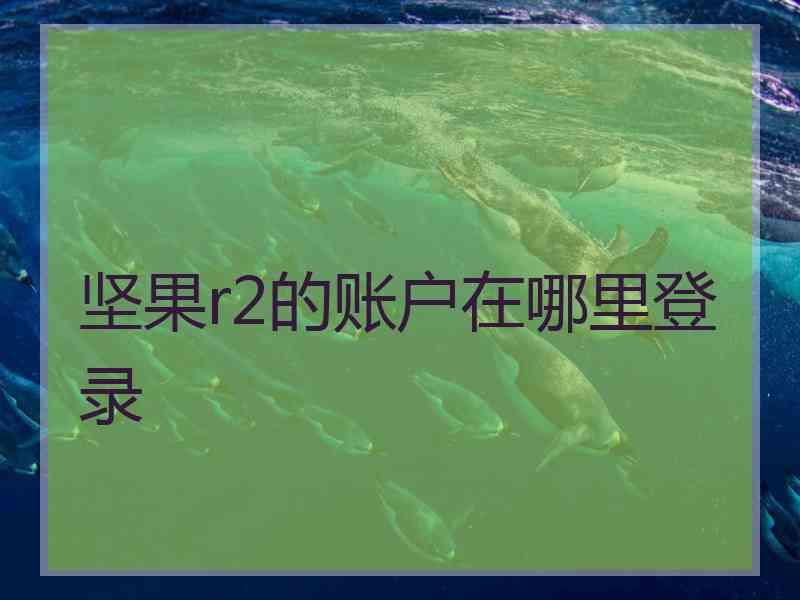 坚果r2的账户在哪里登录