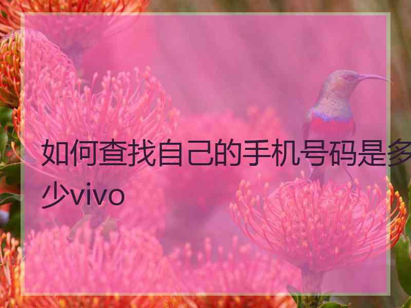 如何查找自己的手机号码是多少vivo