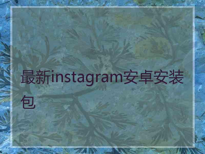 最新instagram安卓安装包