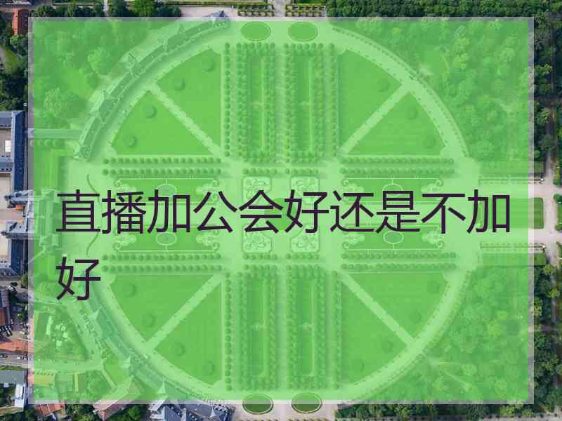 直播加公会好还是不加好