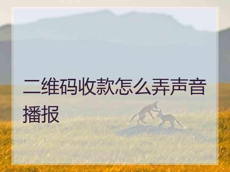 二维码收款怎么弄声音播报